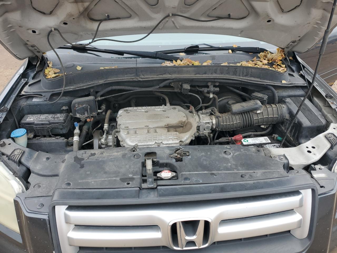 2006 HONDA PILOT