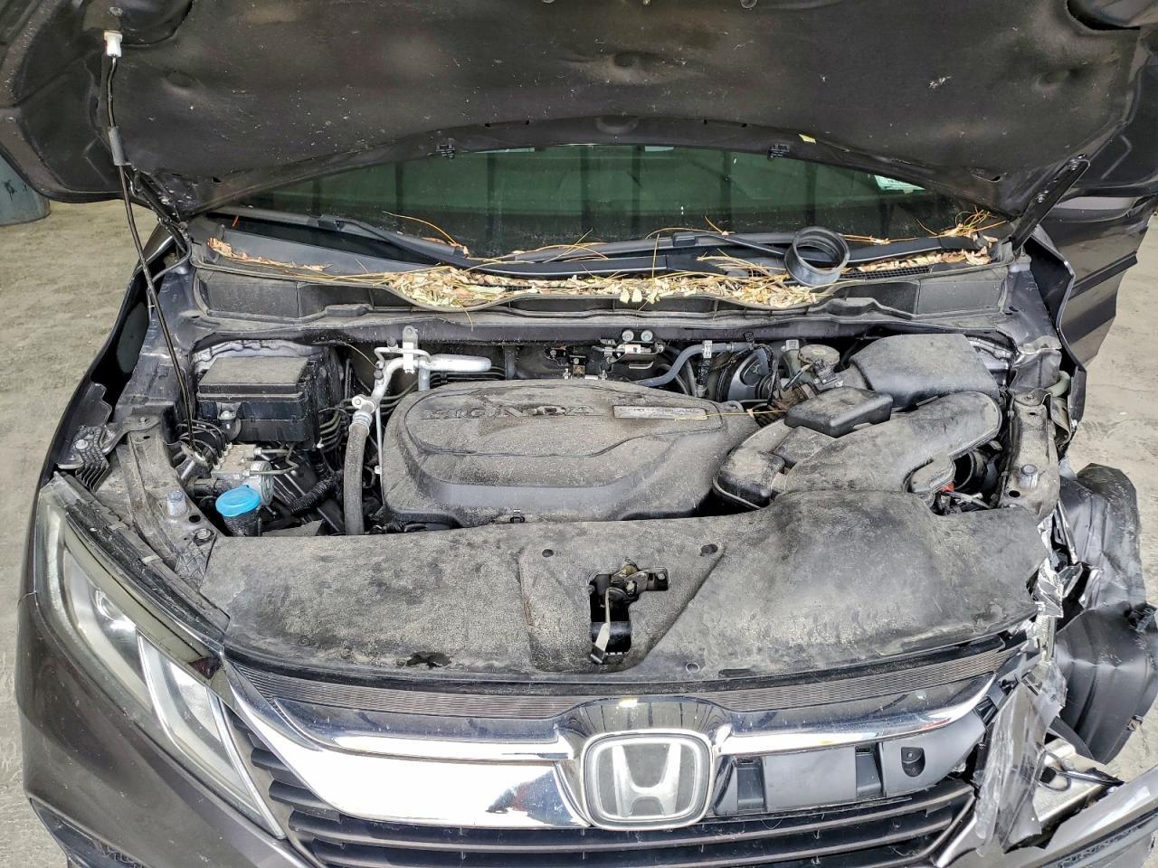 2019 HONDA ODYSSEY