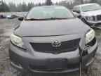 2009 TOYOTA COROLLA