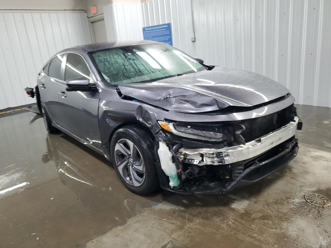 2019 HONDA Insight