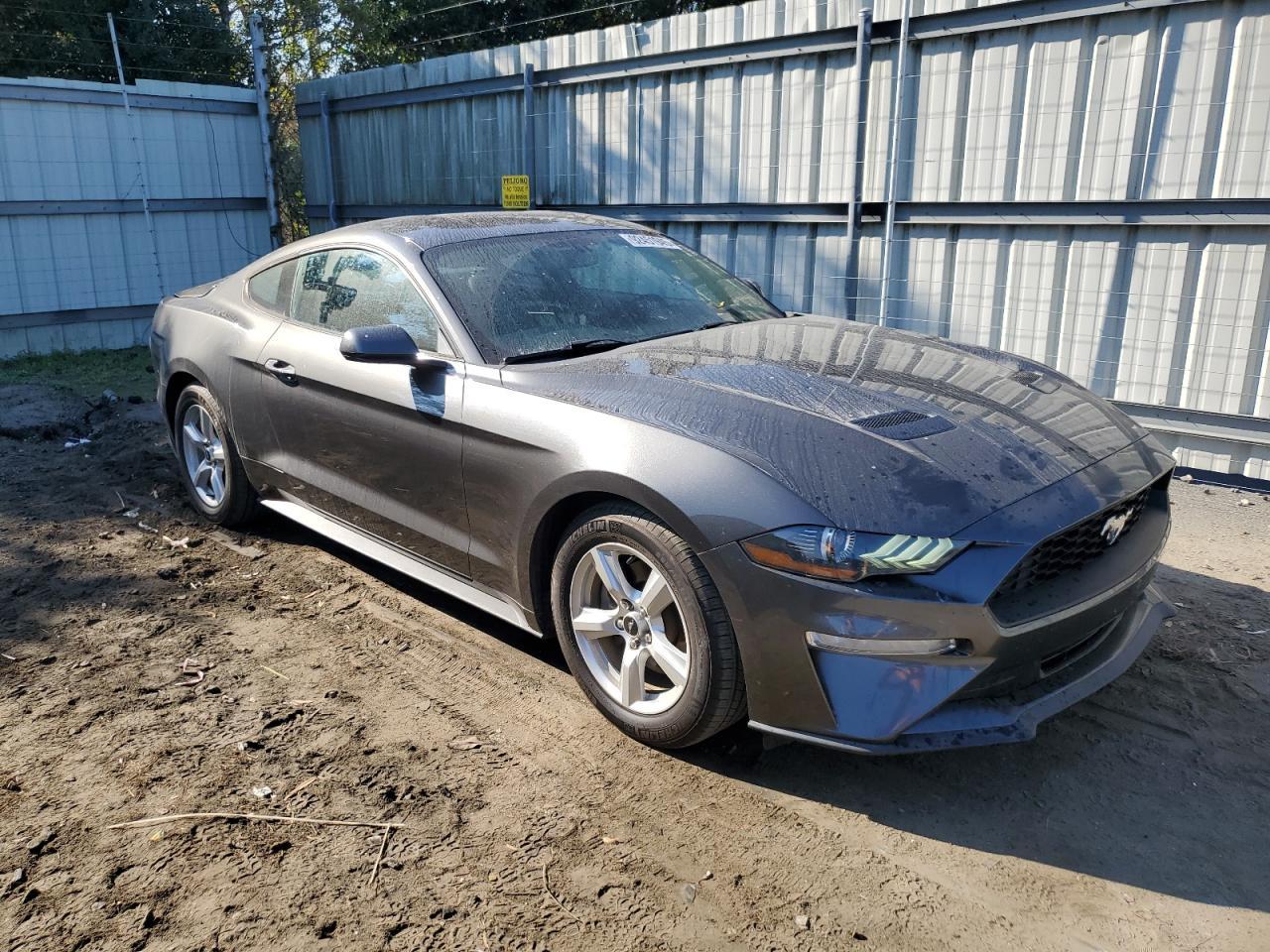 2019 FORD MUSTANG