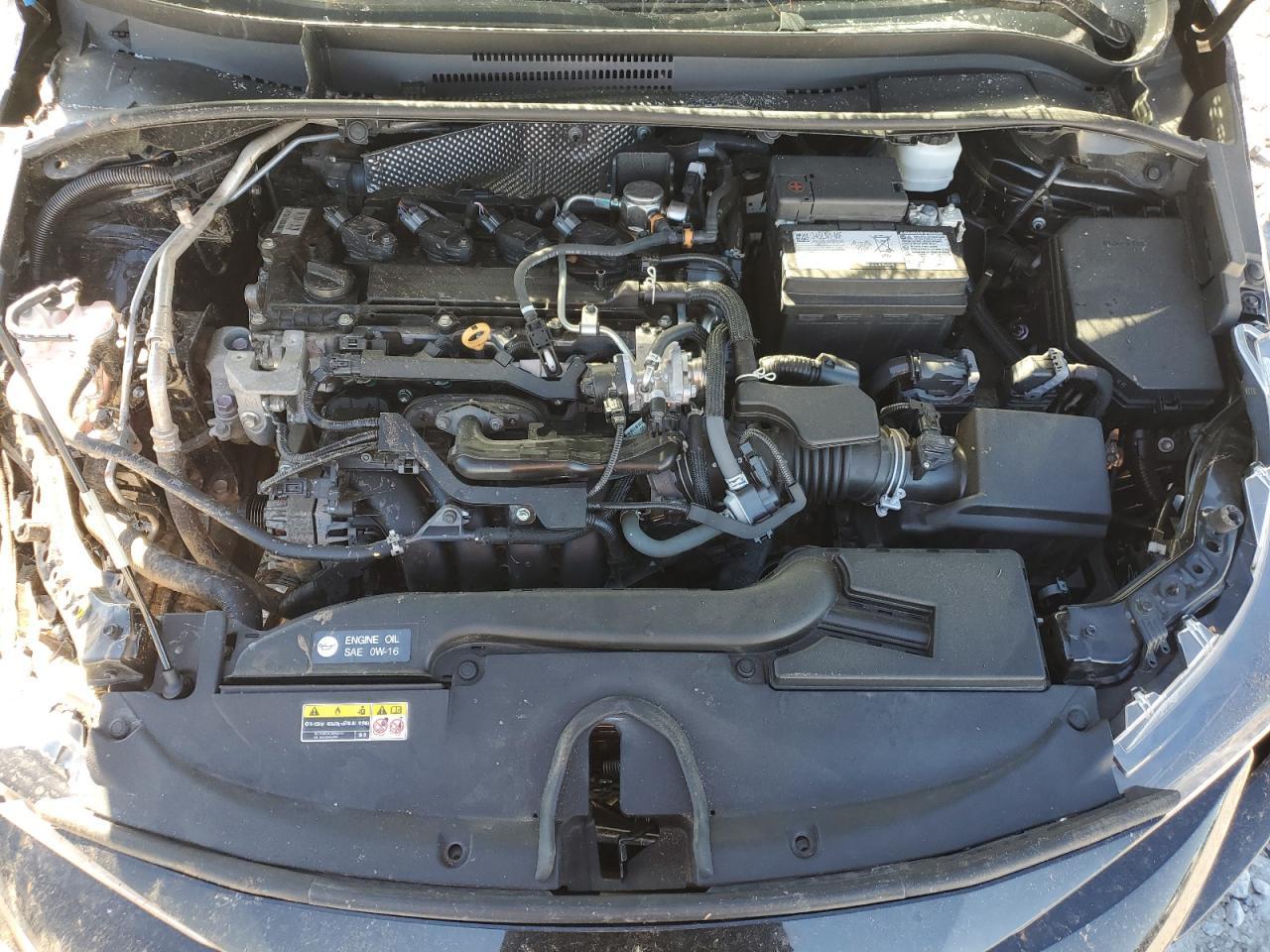 2023 TOYOTA COROLLA