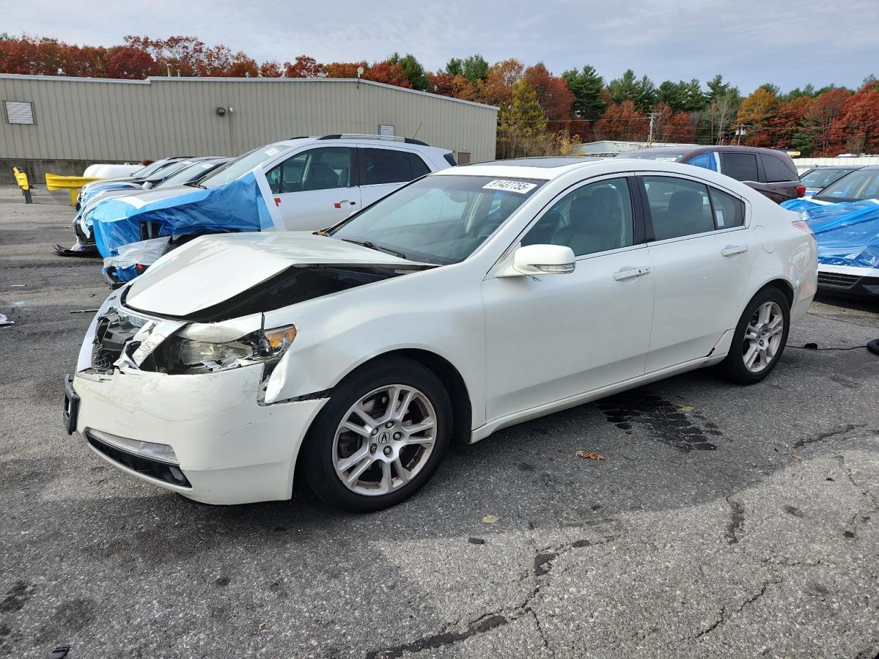 2010 ACURA TL