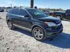 2009 HONDA CR-V
