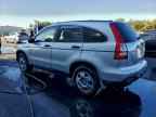 2009 HONDA CR-V