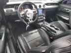 2023 FORD MUSTANG