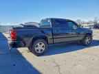 2009 DODGE Dakota