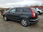 2010 HONDA CR-V