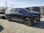 2023 CADILLAC ESCALADE