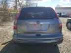 2010 HONDA CR-V
