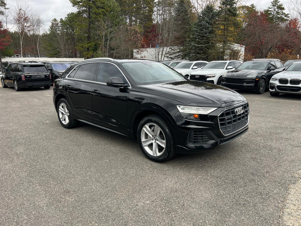 2019 AUDI Q8