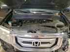 2009 HONDA PILOT