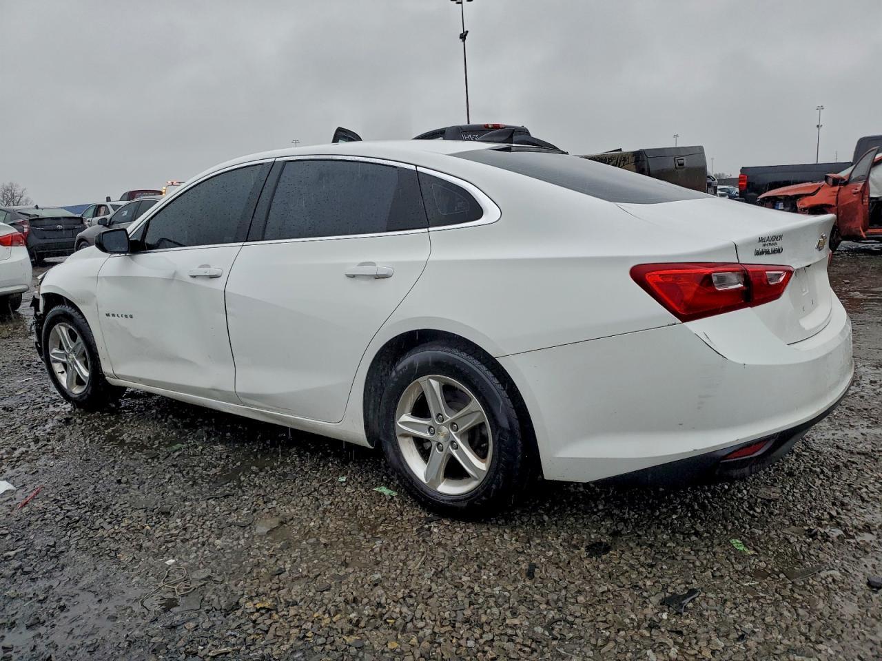 2019 CHEVROLET MALIBU