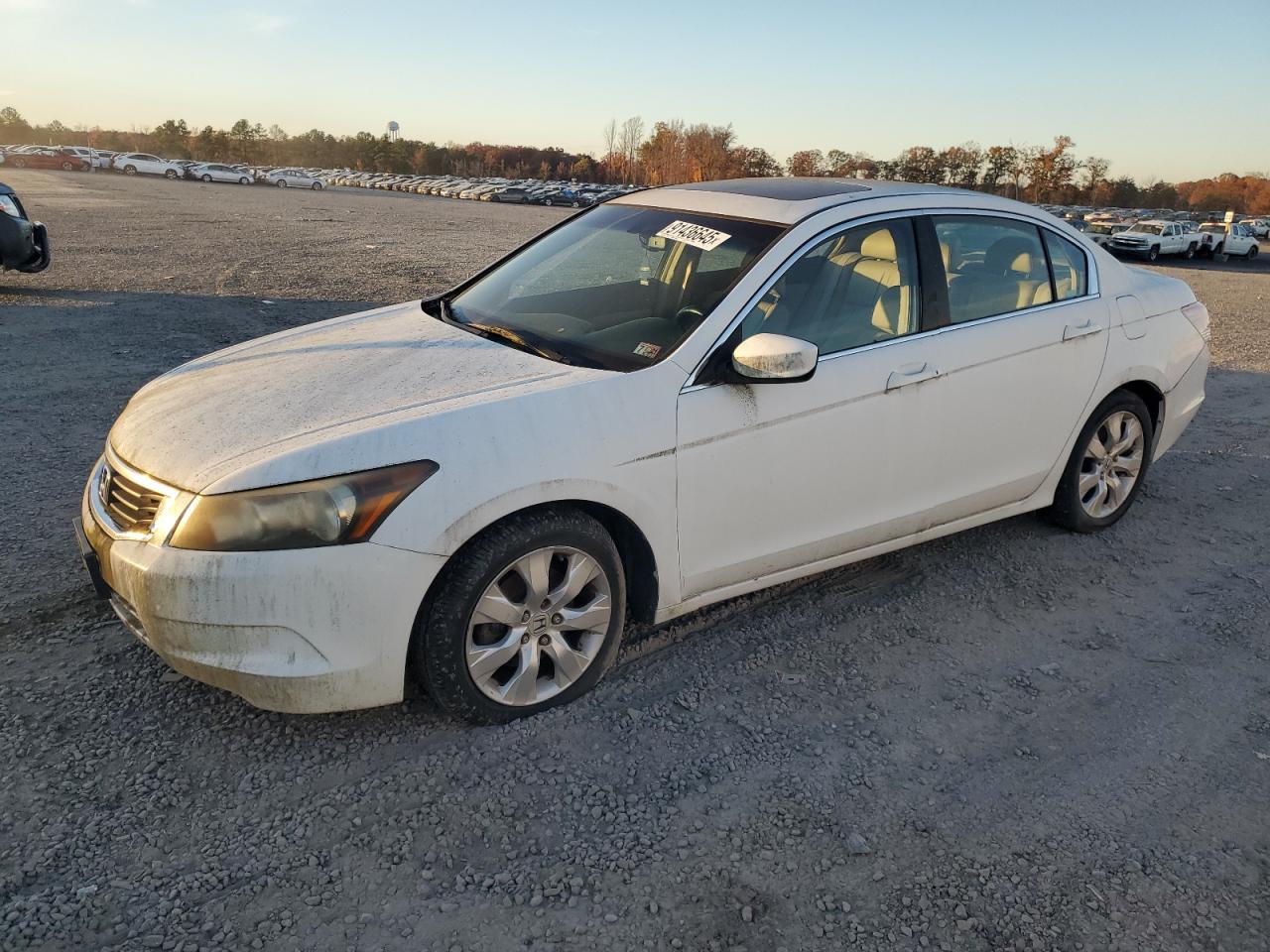 2008 HONDA ACCORD