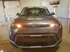 2025 KIA SOUL