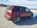 2010 HONDA CR-V
