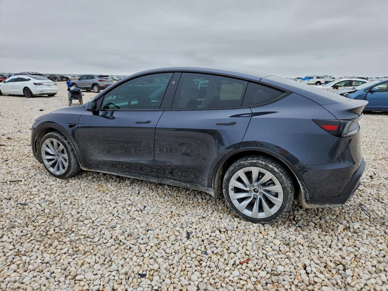 2026 TESLA MODEL Y