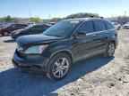 2009 HONDA CR-V