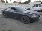 2013 DODGE CHARGER