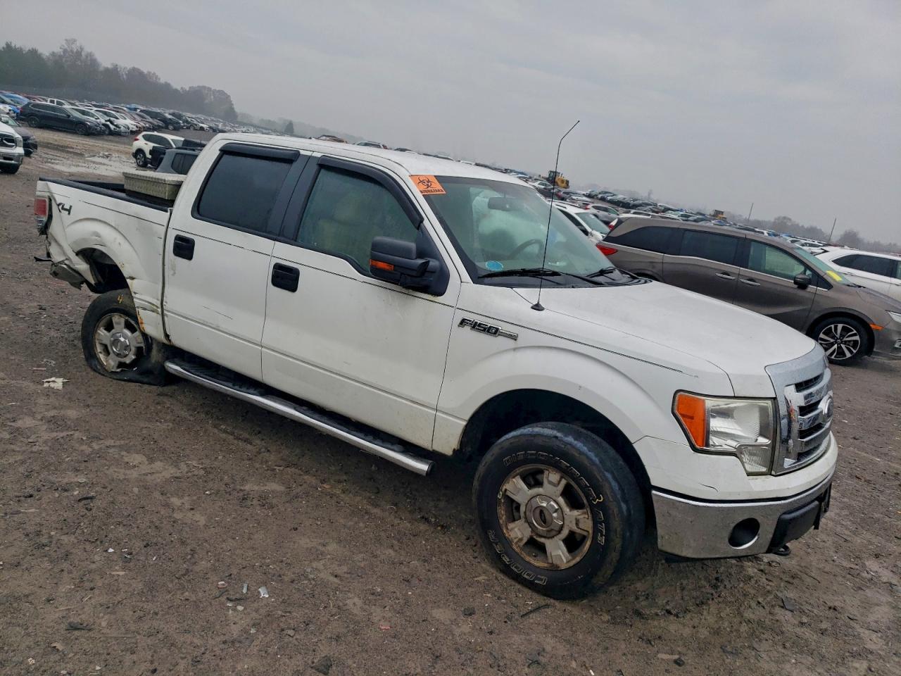 2010 FORD F-150 Lightning