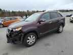 2013 KIA SORENTO