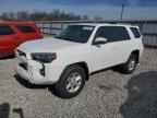 2023 TOYOTA 4Runner