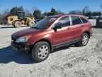 2007 HONDA CR-V