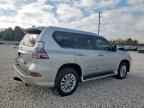 2019 LEXUS GX 460