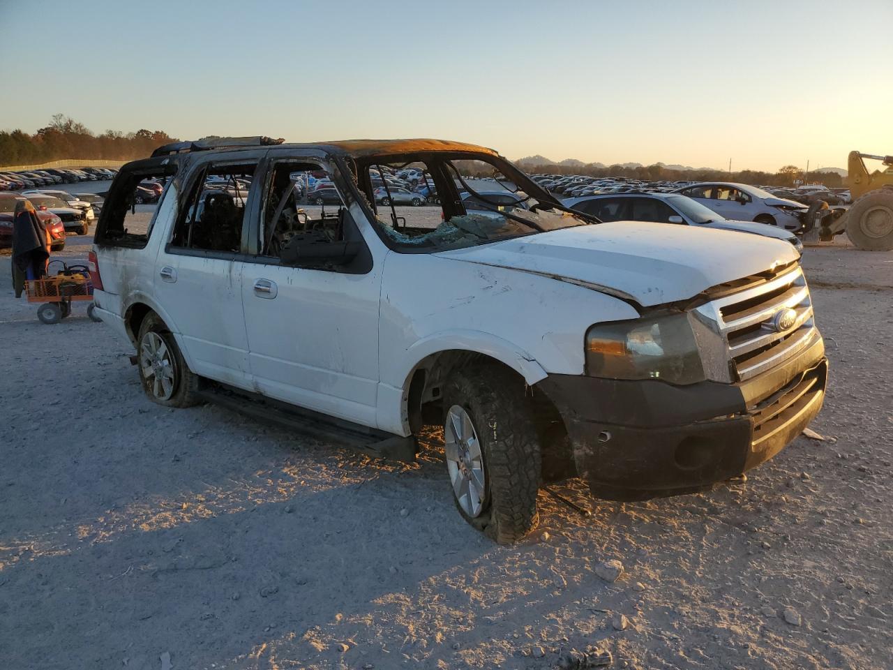 2010 FORD Expedition