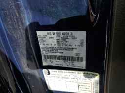 2009 FORD F-150