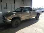 2000 DODGE Dakota