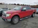 2009 FORD F-150