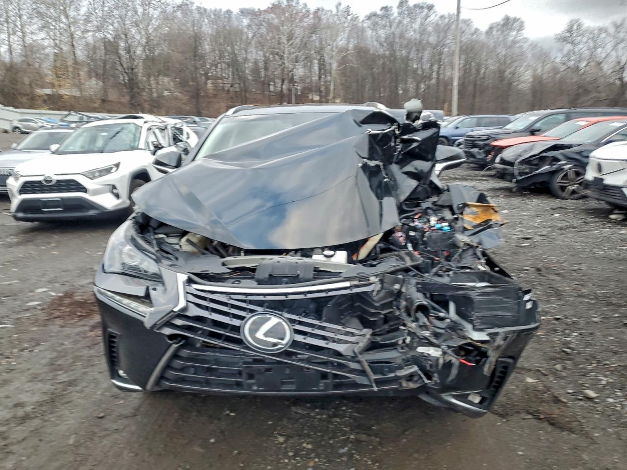 2021 LEXUS NX 300