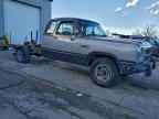 1993 DODGE D-Series