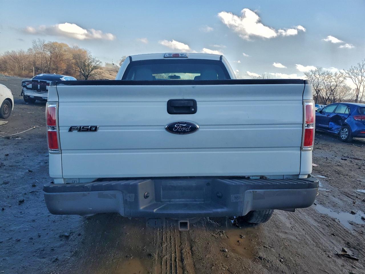 2010 FORD F-150
