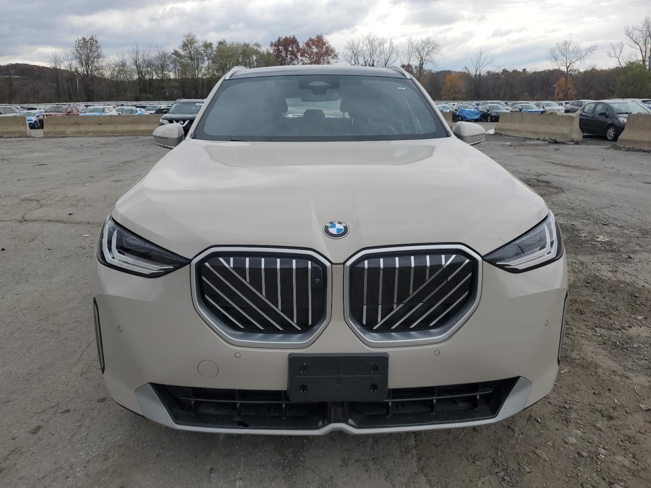 2025 BMW X3