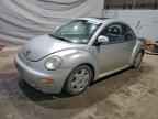 2000 VOLKSWAGEN Beetle