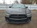 2013 DODGE CHARGER
