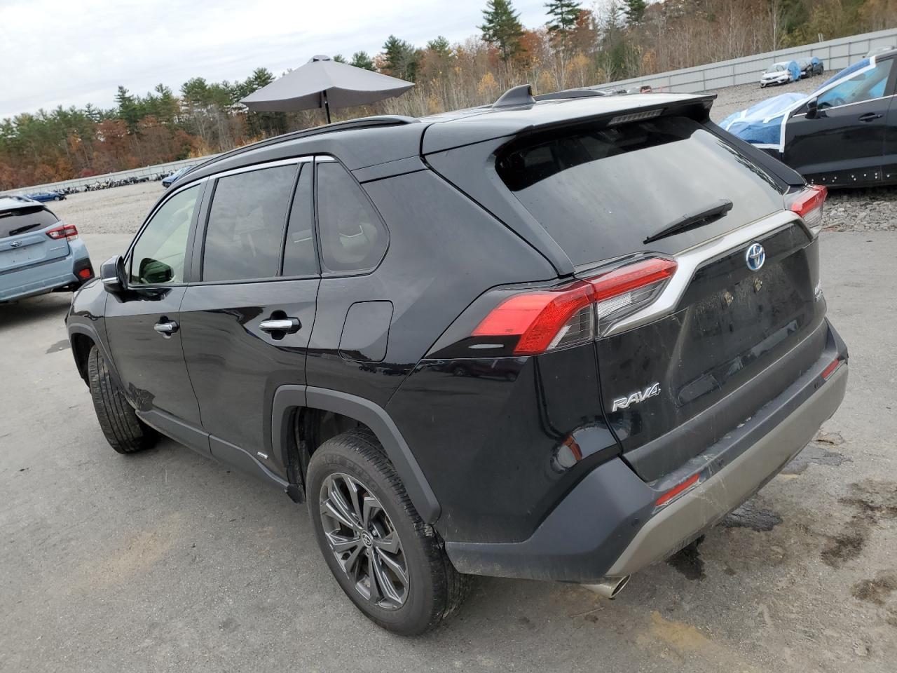 2024 TOYOTA RAV4