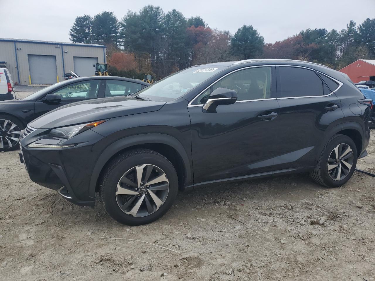 2018 LEXUS NX 300