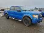 2009 FORD F-150