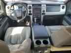 2009 FORD F-150