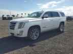 2017 CADILLAC ESCALADE
