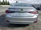 2025 LEXUS ES 300H