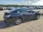 2014 NISSAN Maxima