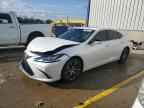 2024 LEXUS ES 350