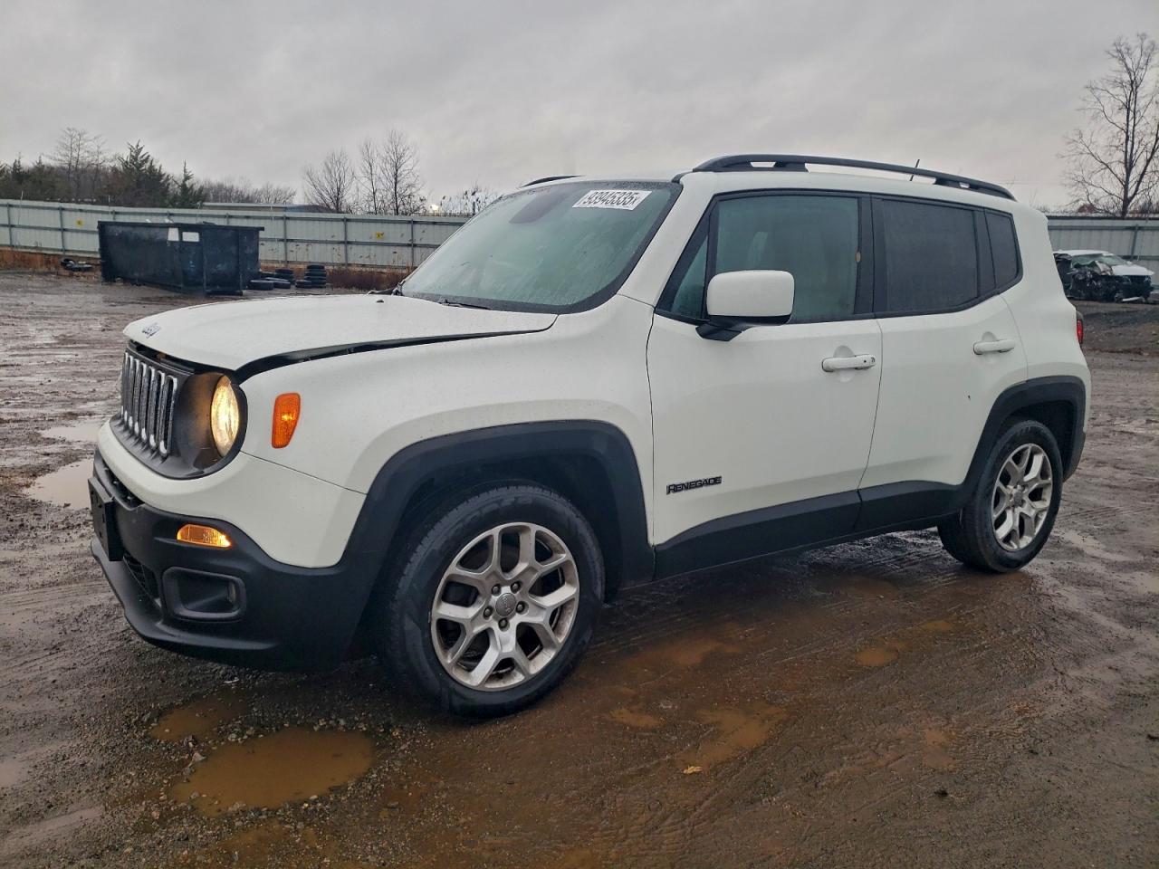 2017 JEEP Renegade