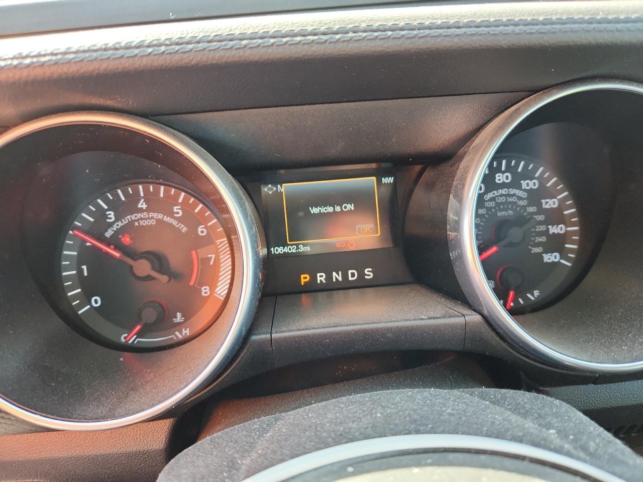 2019 FORD MUSTANG