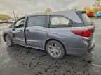 2025 HONDA ODYSSEY
