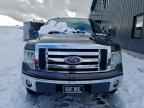 2009 FORD F-150